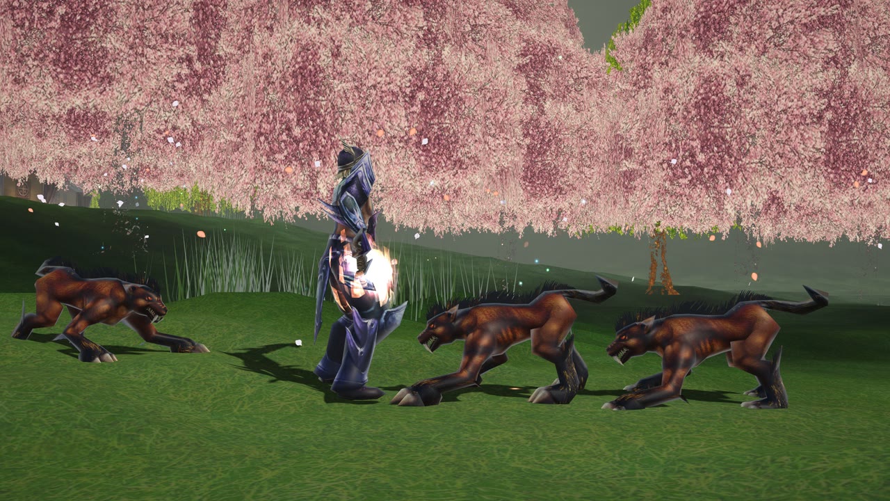 Guide Dogs on the grassy trail outside the village